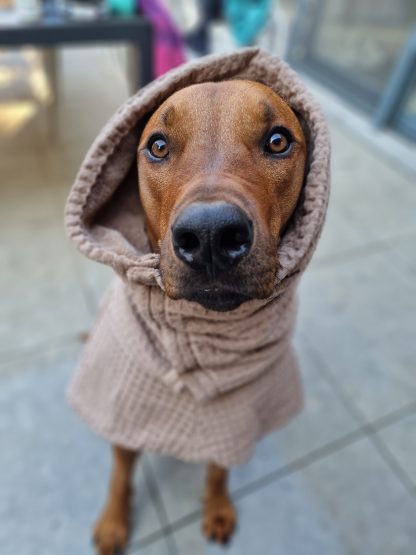 rhodesian ridgeback badjas