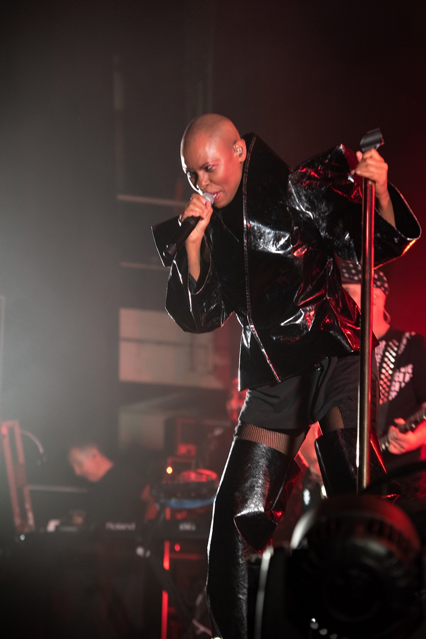 Skunk Anansie