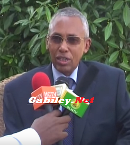 DAAWO Wasiirka Arimaha Dibada Somaliland Oo La Kulmey Xildhibaano Dalka Ingiriiska Ah + Maxay kawada Hadleen?