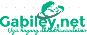 gabileylogo1