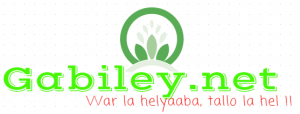 gabileylogo2