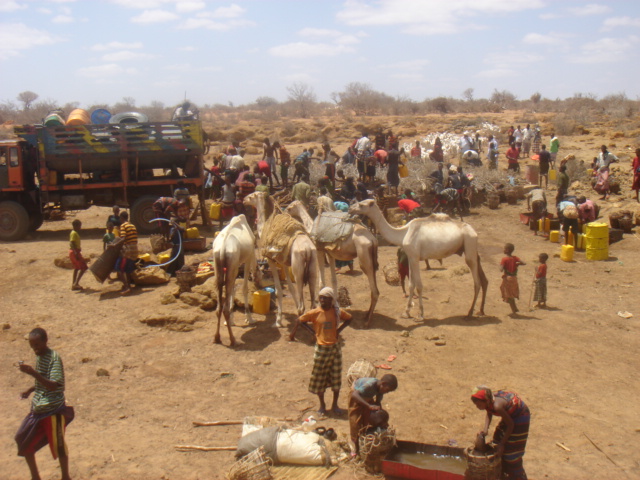 Daawo-Somaliland Gobolo Hore Uga Badqabay Abaarta Oo Saameyn Laxaad Leh Wakhtiga Ay Ku yeelatay.