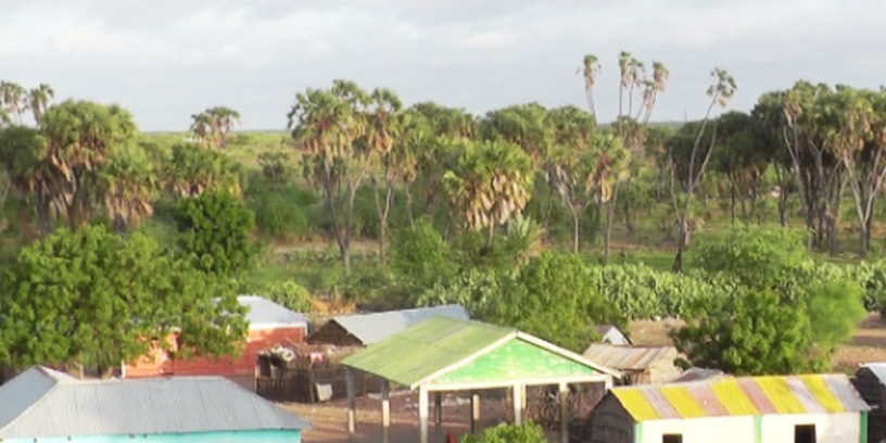 Daawo-Duleedka Magaalada Hargeisa Oo Markii ugu Horeysay Laga Hirgaliyey Dhul Beereed Casriya.