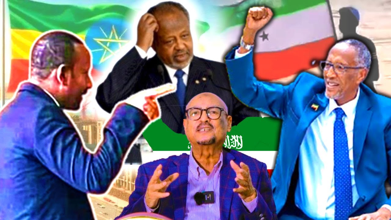 “Jabuuti Waa Ilme Yar Oo Somaliland iyo Ethiopia Gacanta Ku Hayaan, hadduu Ismaaciil na…” – Eng Faysal Cali Waraabe