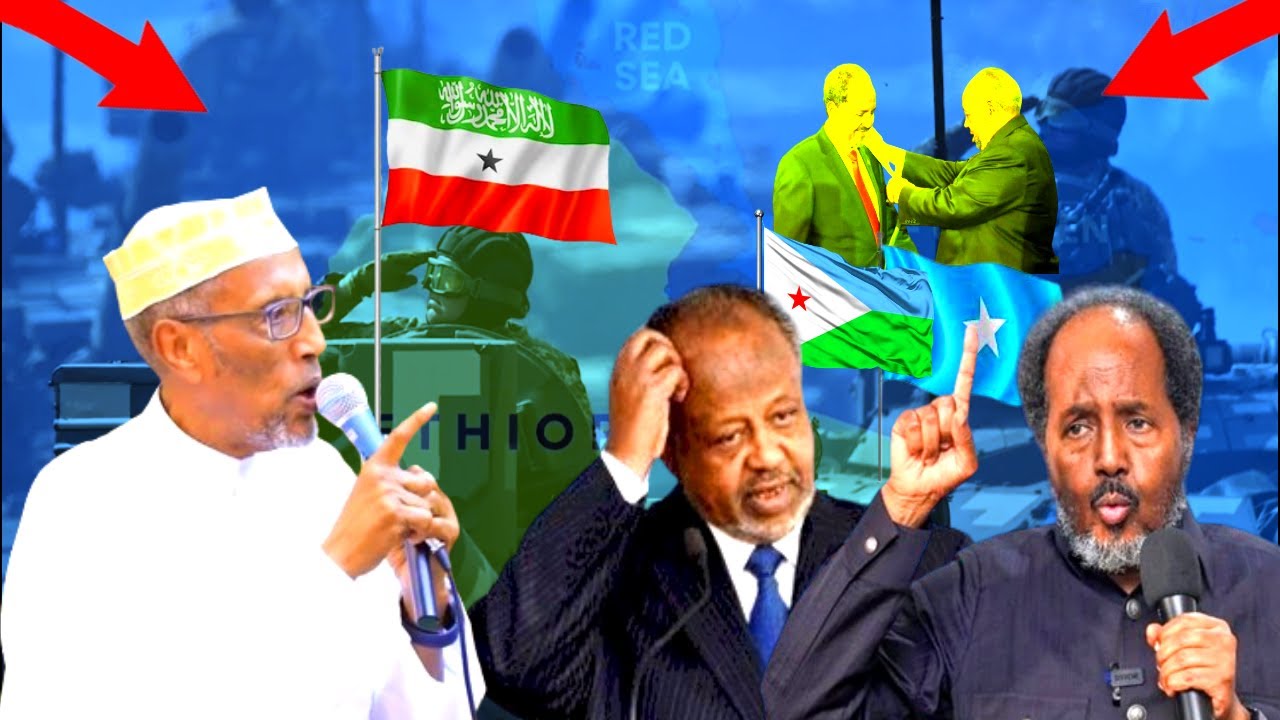 War ka Nixiyay Cadowgii Somaliland oo ka soo yeedhay Madaxweyne Biixi & Sababta