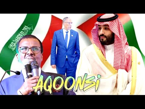 Deg-Deg-Dawlada Imaaraadka Carabta Oo Si Rasmiya U Aqoonsatay Somaliland Iyo Fiisaha Oo Si Toosa Loo Sharciyeeyey.