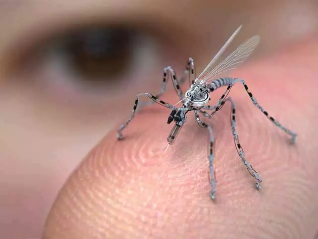 Radio controlled insect spies