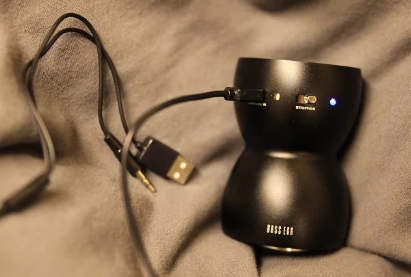 Bass egg hot sale speaker price
