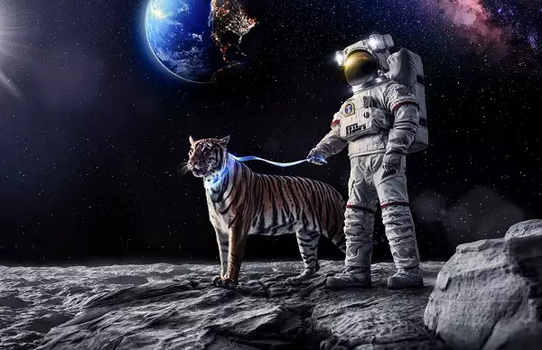 ces 2015 space tiger moon