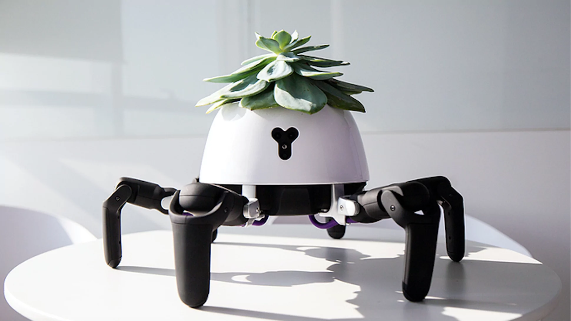 Robotic Plant Pot Follows The Sun