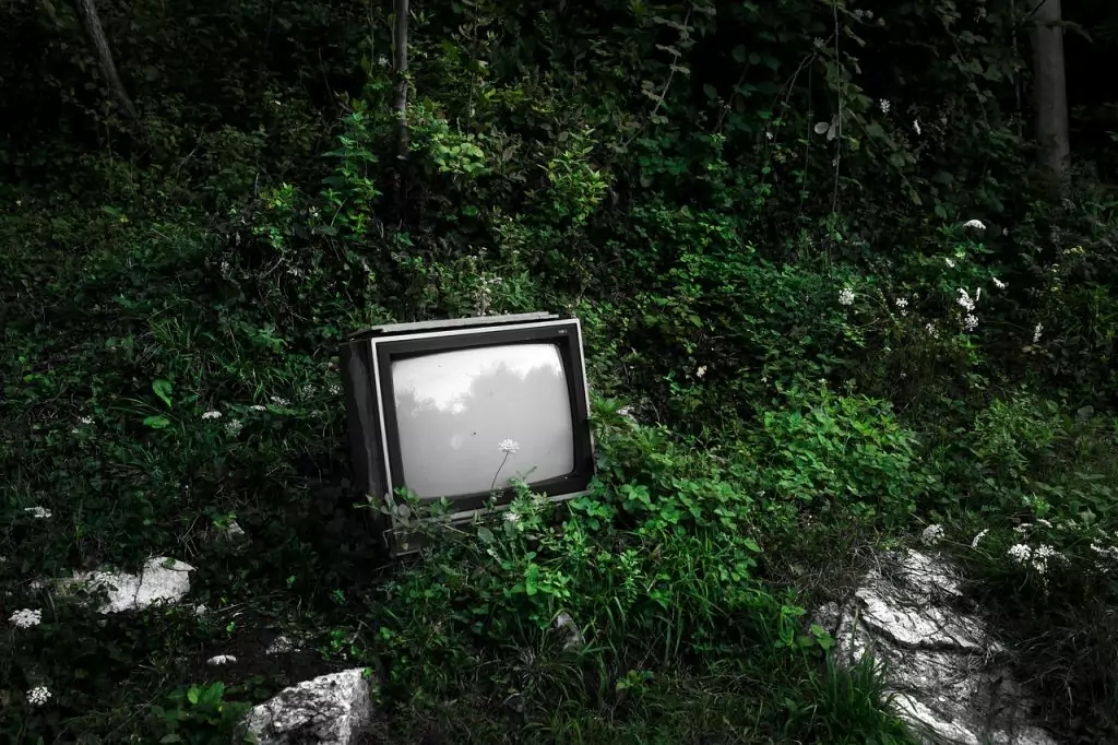 tv g2a9379d8b 1280