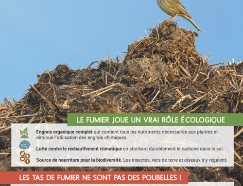 Le fumier est bon pour la biodiversité !