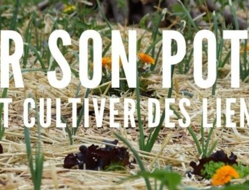 Formation « Créer son potager et cultiver des liens »