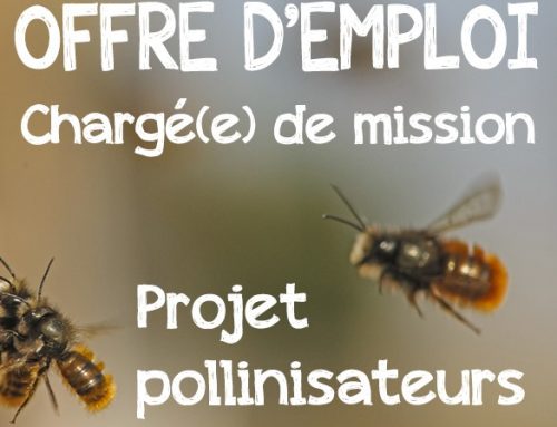 Offre d’emploi chargé(e) de mission « Pollinisateurs »