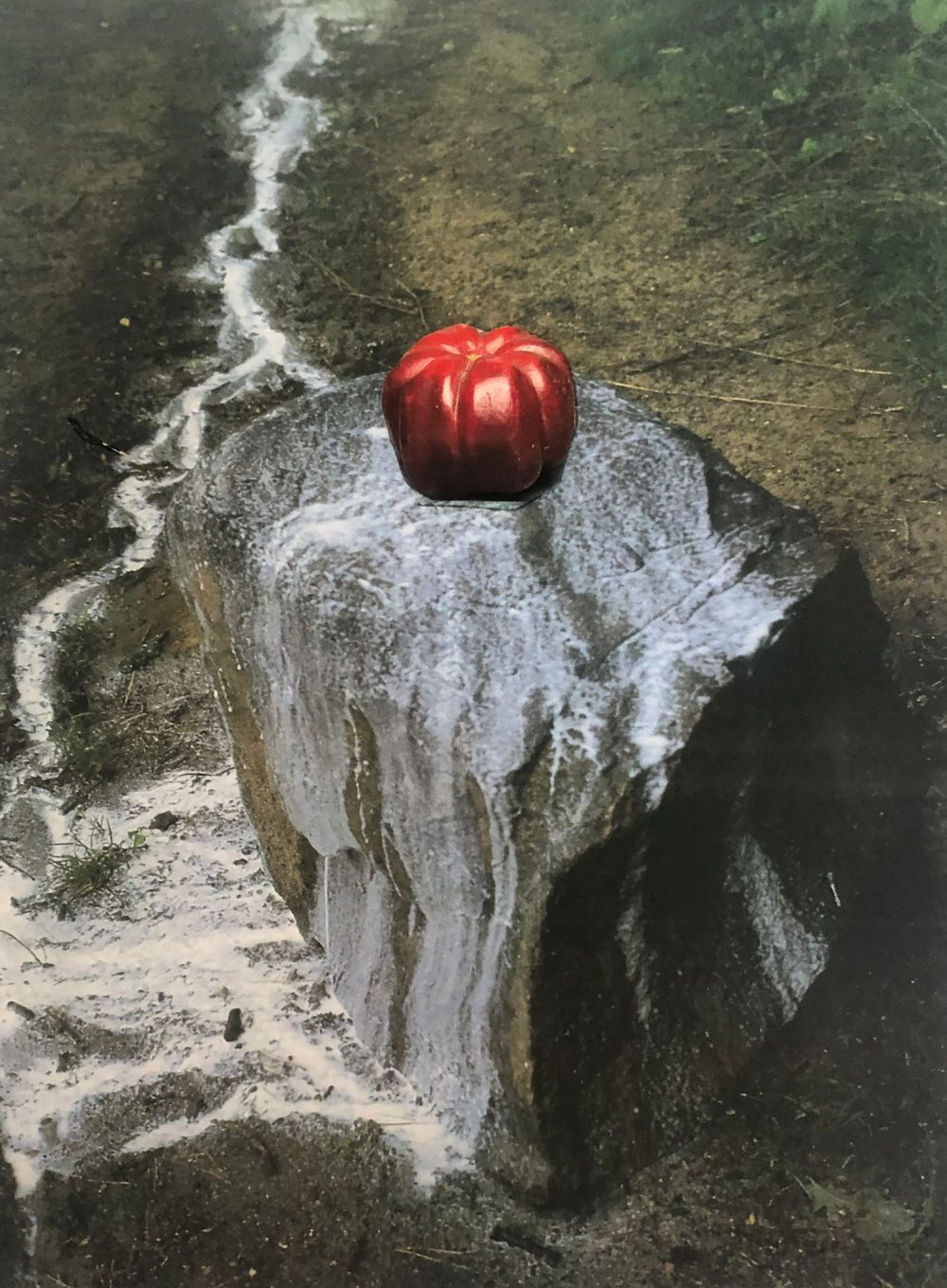Diana Becker: 'Rote Paprika', painted photo collage 1/6, 30x40 cm, DKK 1100