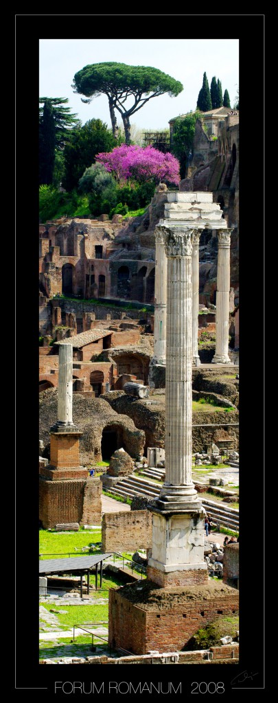 0009_Forum romanum