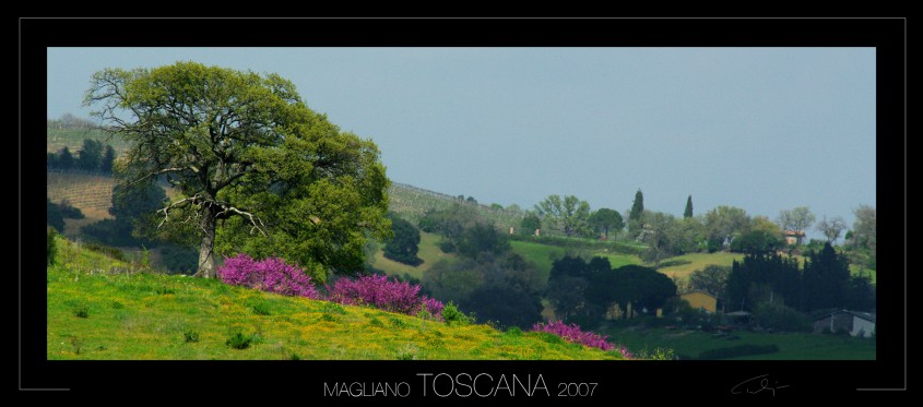 0012_toscana 2007