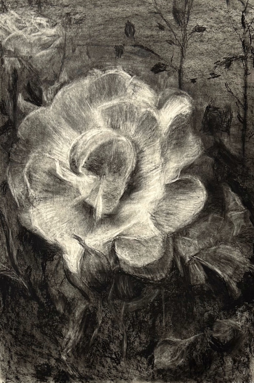 Anne-Lie Larsson Ljung 2