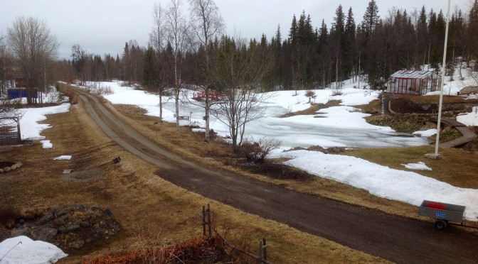 Till och med fåglarna har tystnat…