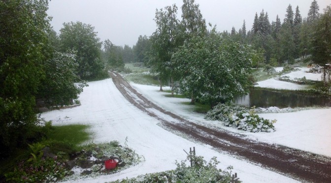 Och snön lyser vit på marken…