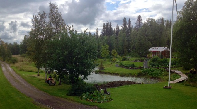 Äntligen lite regn!