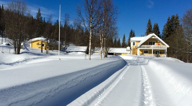 Jag och mina fobier…