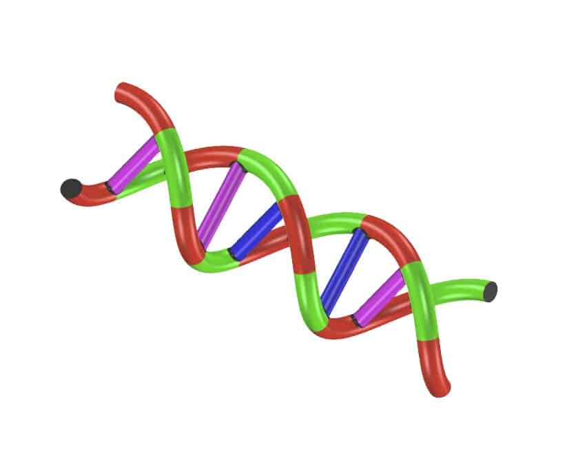 DNA och Släktforskning