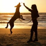 Perros: Mejores Amigos De La Salud Mental Humana