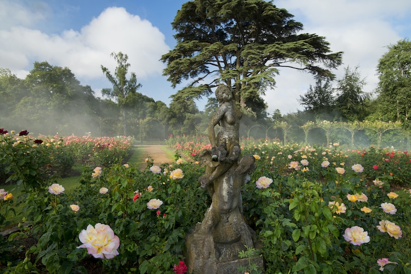 Blenheim Palace-Park and Gardens-Roses (2)