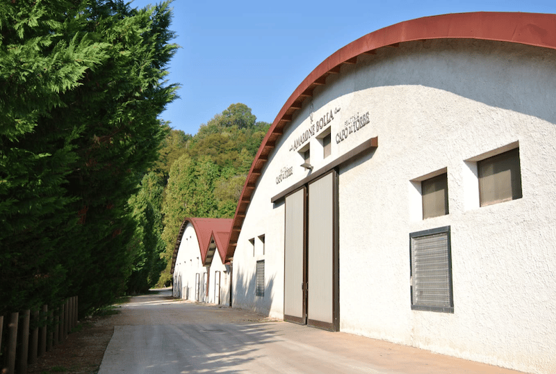 bolla amarone italien vingård