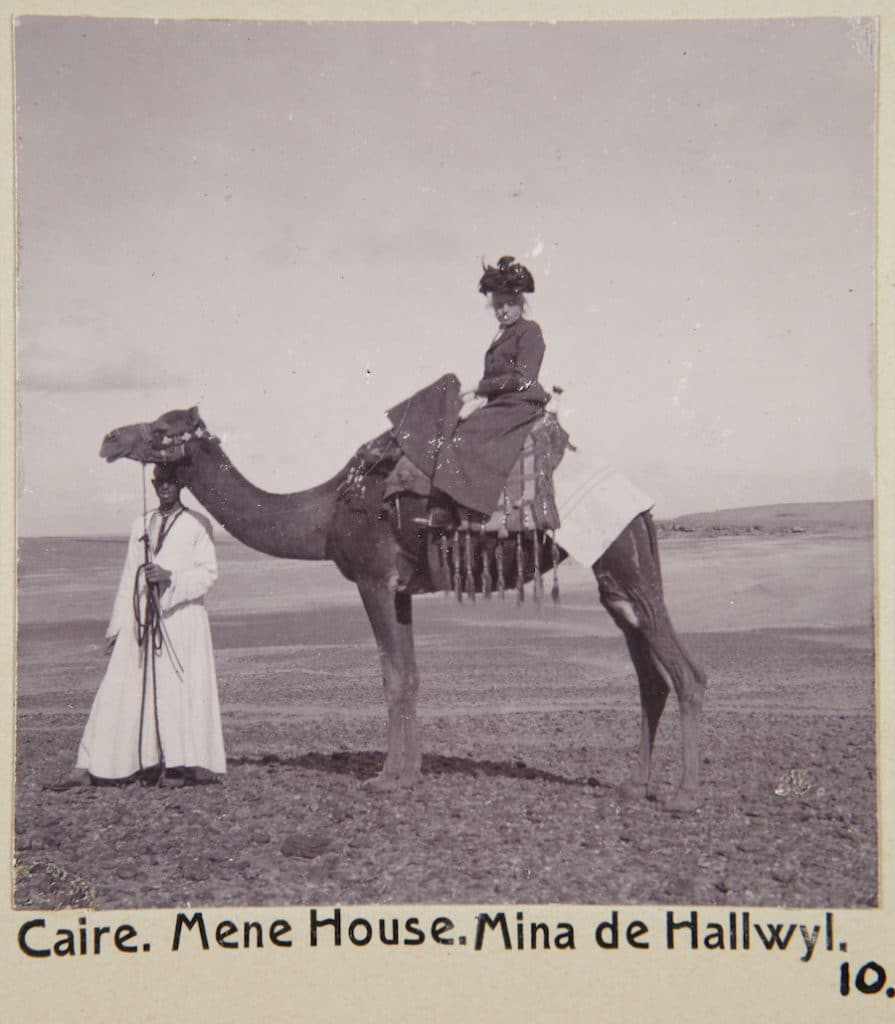 damsadel kamel Egypten