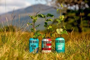 brewdog forest nyhet