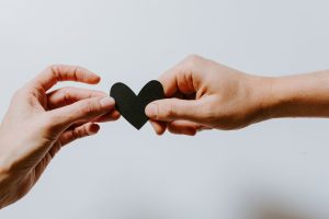 kelly-sikkema-4le7k9XVYjE-unsplash kelly-sikkema-4le7k9XVYjE-unsplash