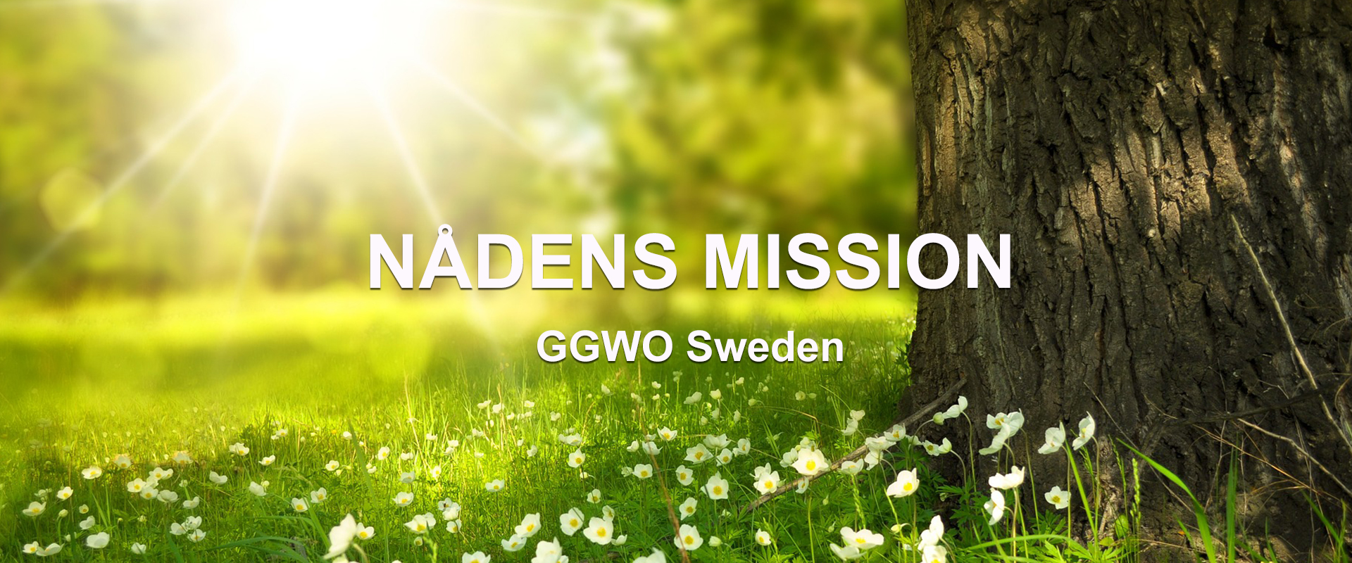 Bildtext: Nådens Mission, ggwo Sweden