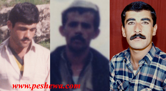 شههید عهلی شههابی، شههید خدر عهڕهبی، شههید برایم جههاندیده