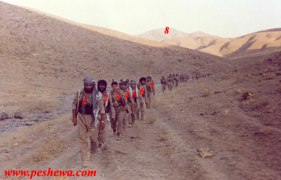 1 برایم جوکهڵی.2- سهلاح. 3- کهماڵ. 4- جهعفهر. 5- غهفور سۆفی. 6- حهسهن.7- ههواڵ8 چیای پیر چۆپان شهڕگهی ئهم شهڕه