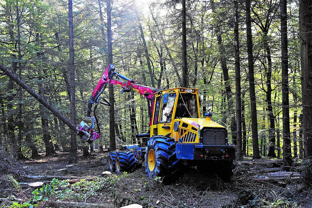 Skogsmaskin 4x4 Welte W130 - Bild 9