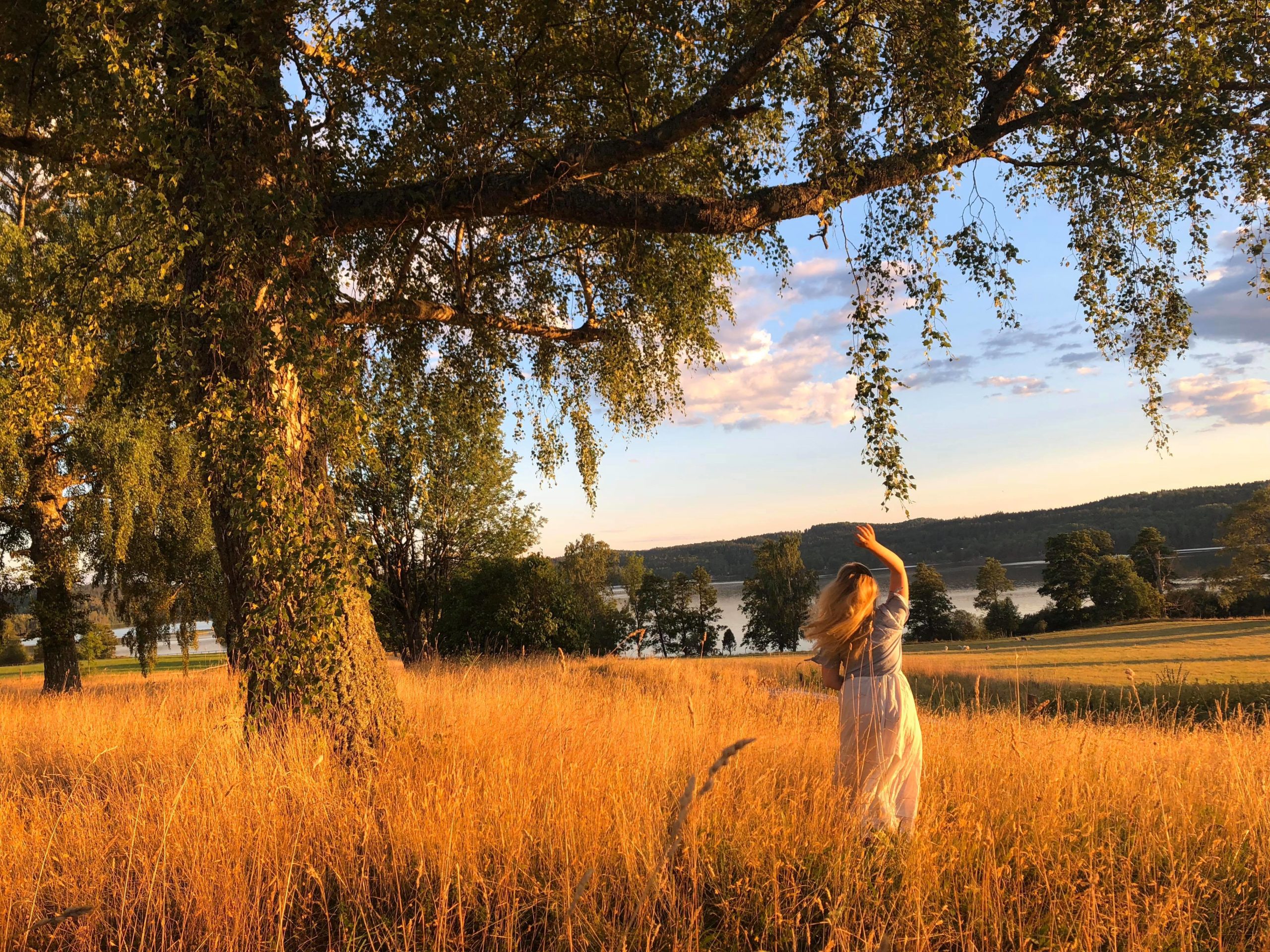 Brittsommar Kulturföreningen Gimle