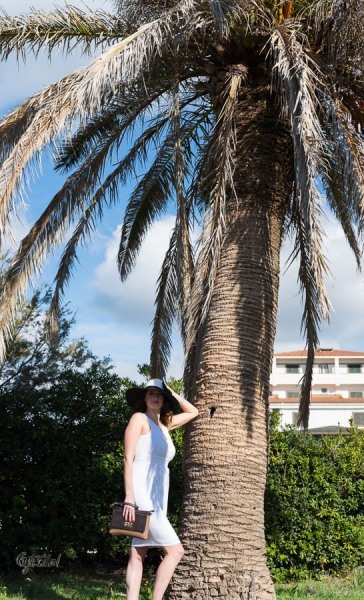 Under a palm tree