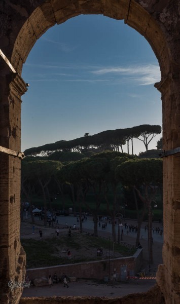 View from Colosseum