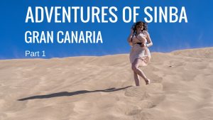 Adventures of Sinba: Gran Canaria – Part 1 – New BTS video out