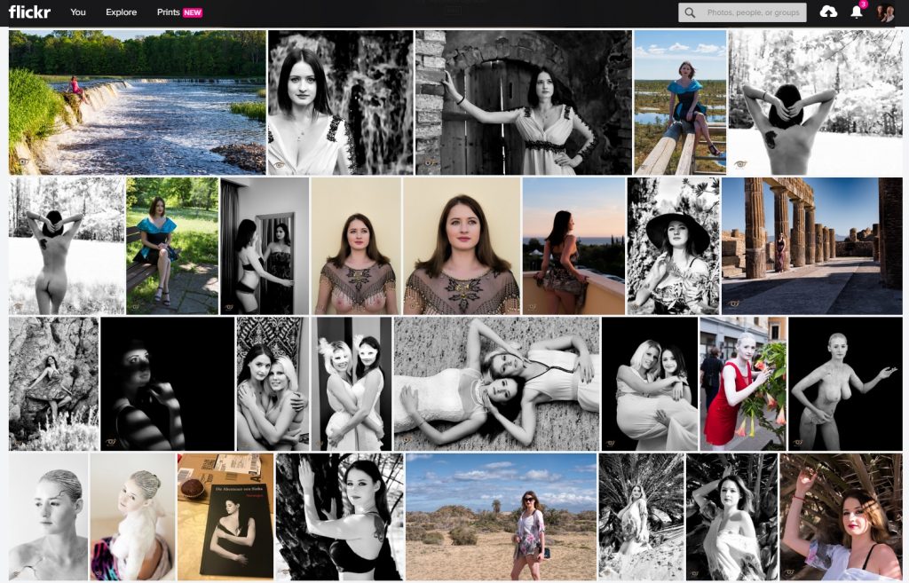 My album on Flickr where I post photos of Sinba