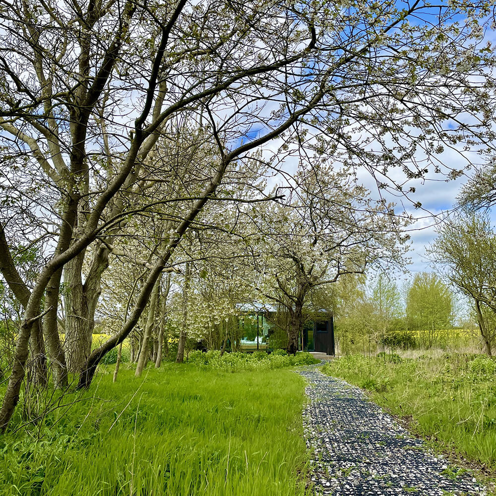 Uforstyrret naturoplevelse blandt vilde blomster hos Glashytterne, Lolland