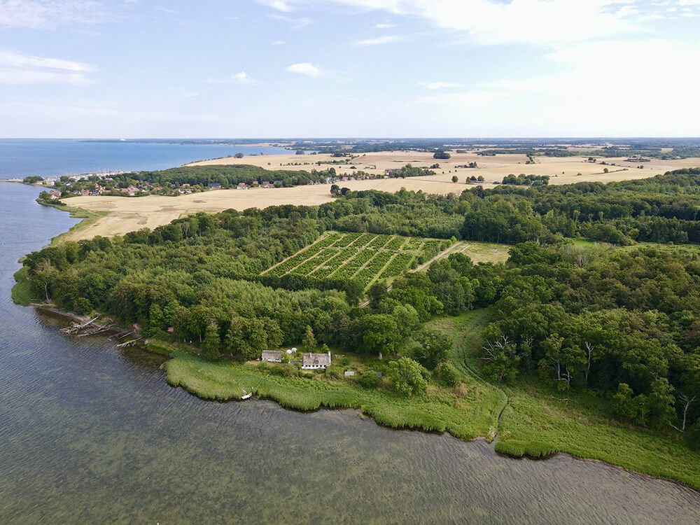 Luftfoto af Lollands kystlinje med marker og skov
