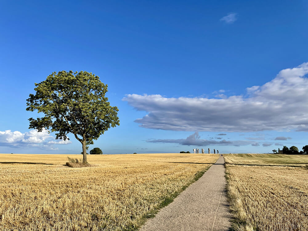Sti der fører til marken på Lolland