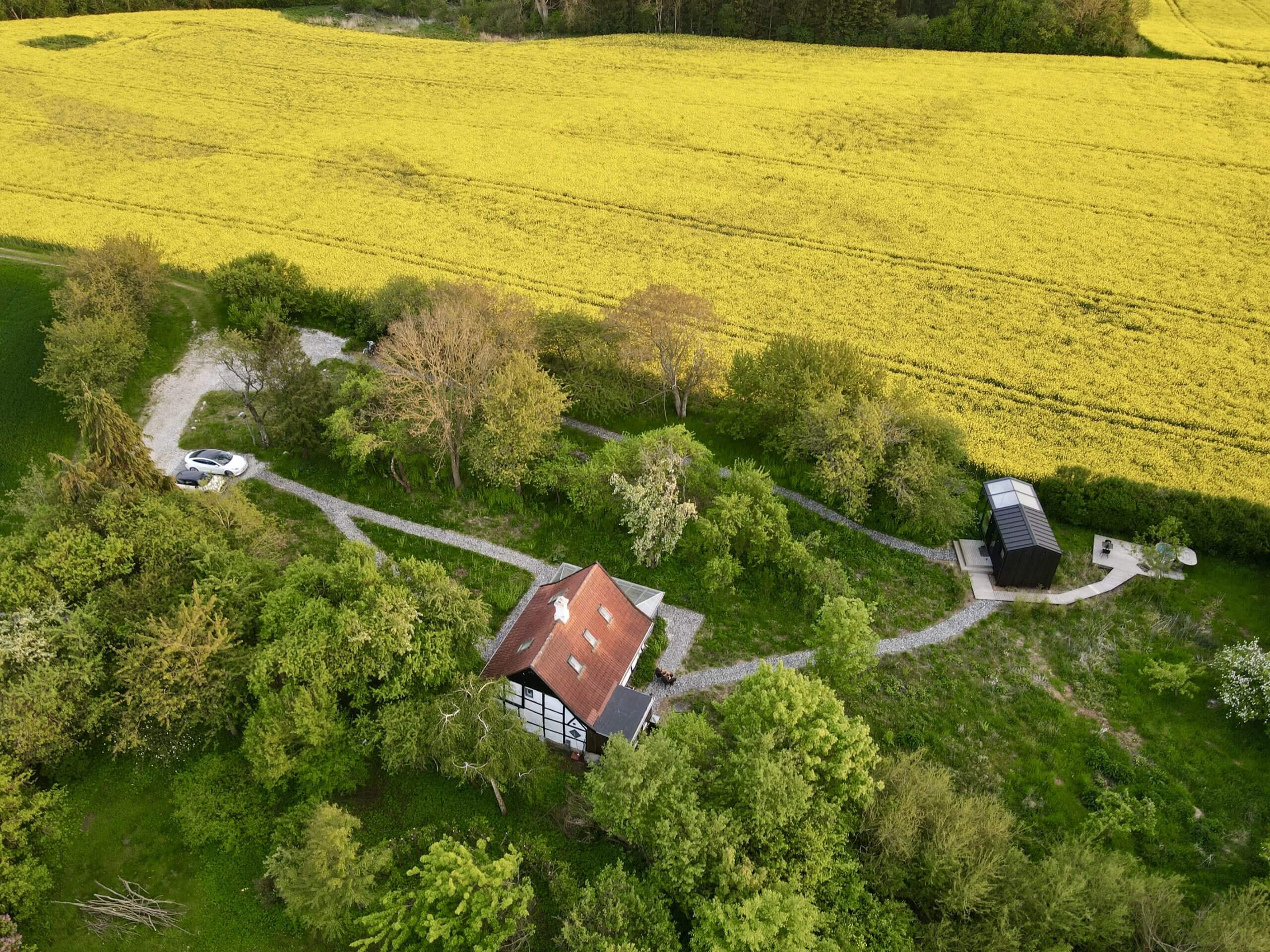 Udsigt til glashytten ved en rapsmark, indkørsel på Lolland