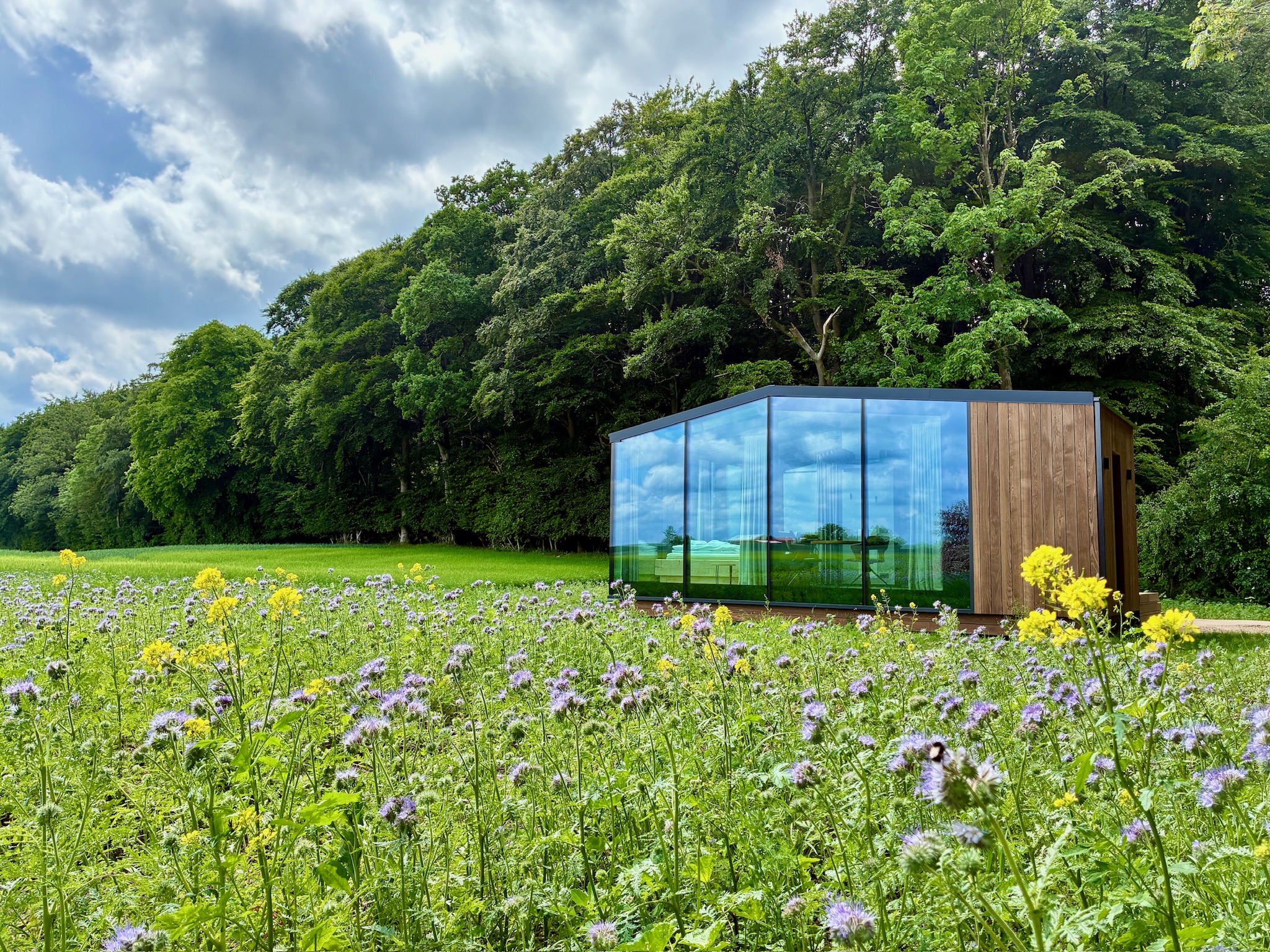 Glass Hut Mira surrounded by wildflowers at the edge of the woods