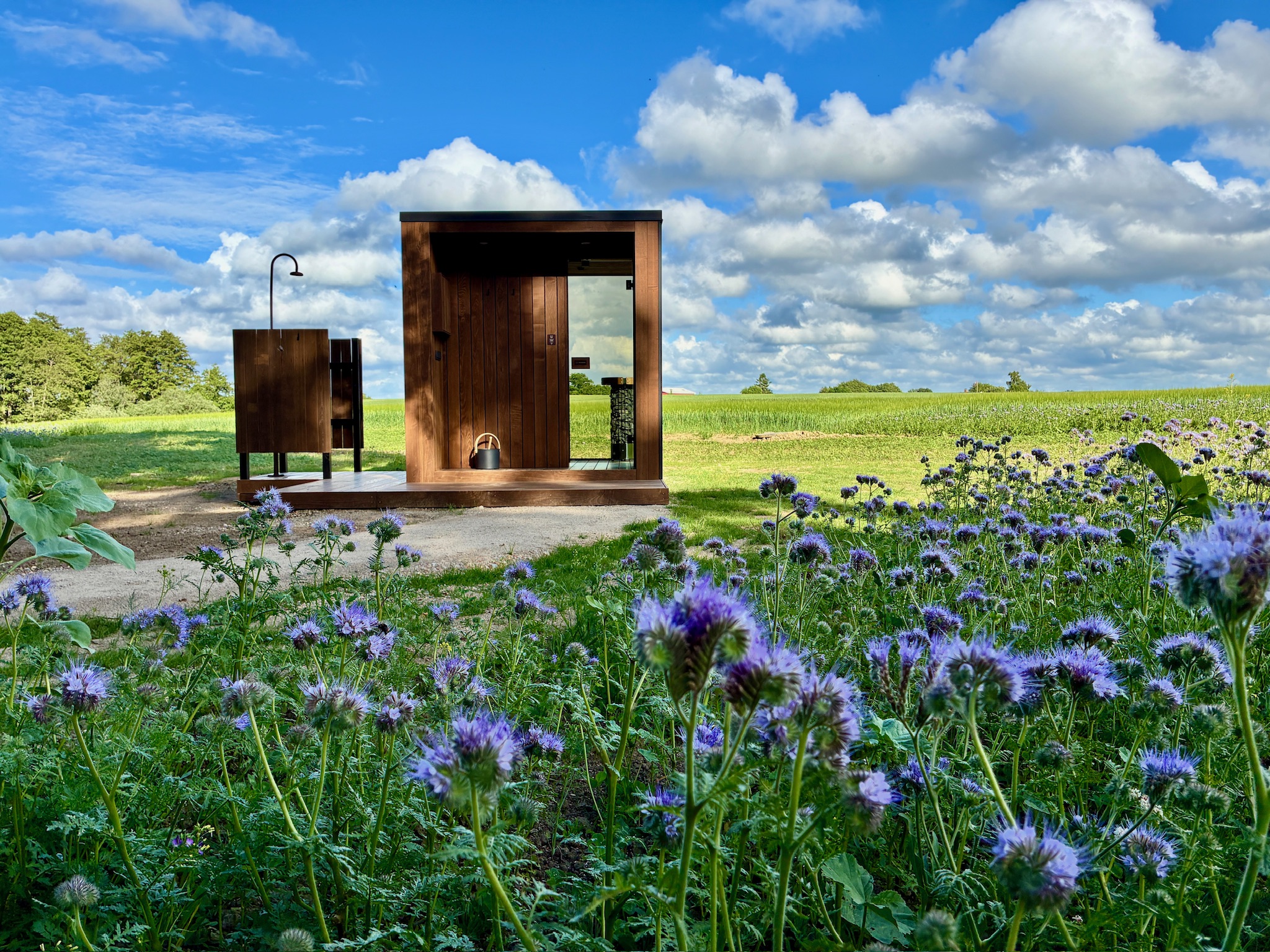 Sauna exterior in a wildflower meadow at Glass Hut Mira