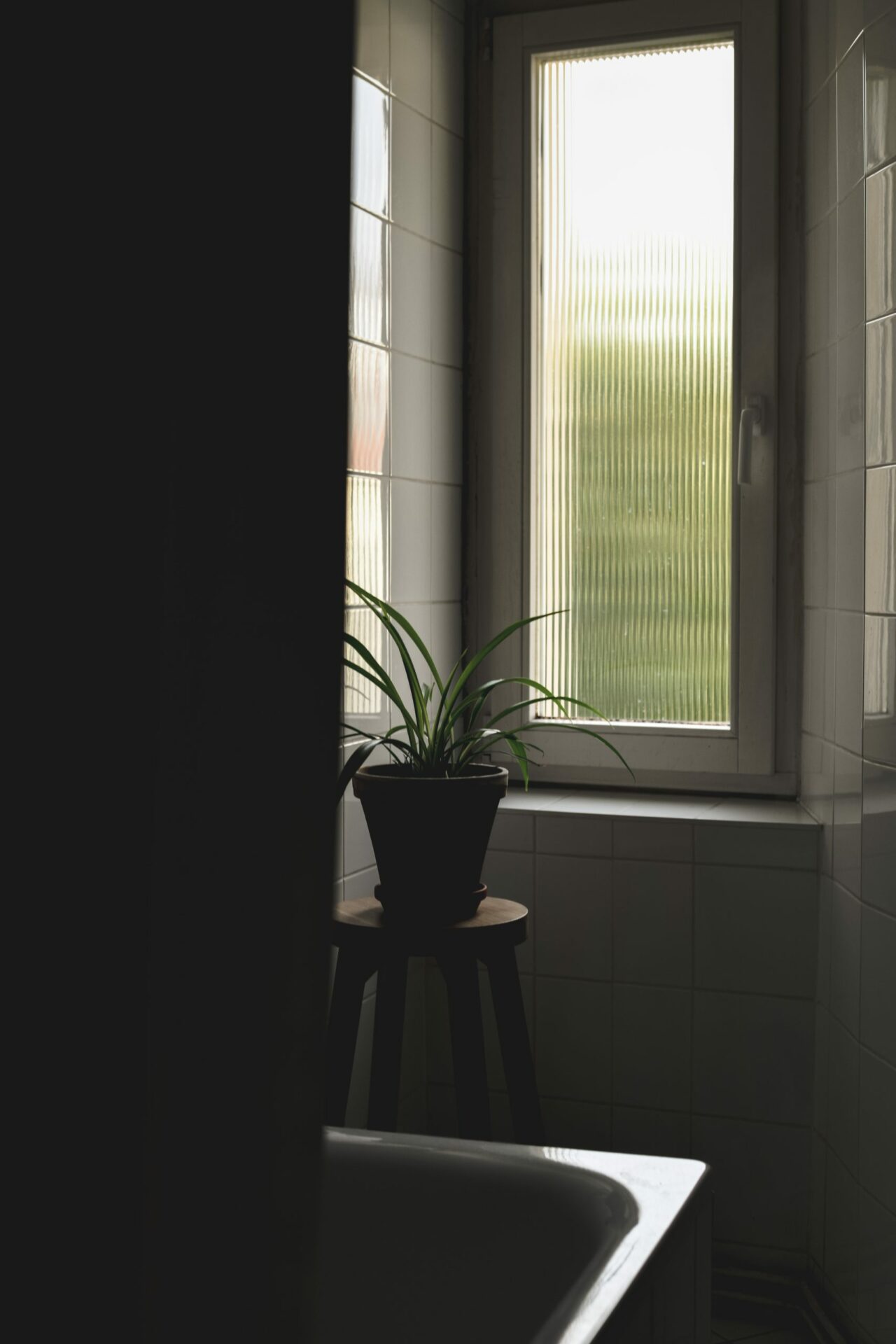 Ornamentglas/råglas - sikrer at lyset kommer ind uden at nogen kan kigge ind.