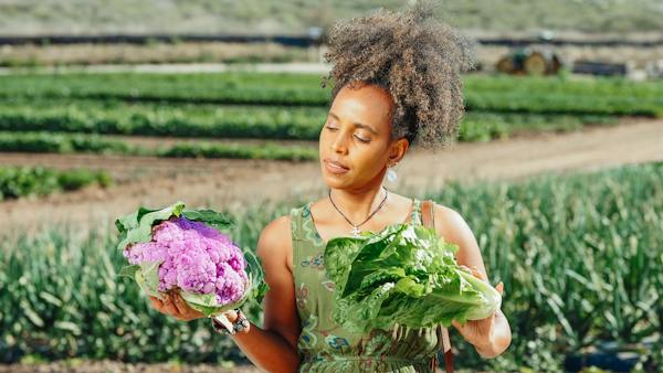 Anti-Inflammatory Foods
